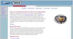 Desktop Screenshot of mirrorliteco.com